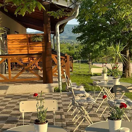 Magnolia By Radovanovic