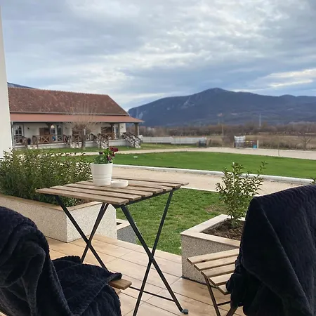 Magnolia By Radovanovic Zdrelo