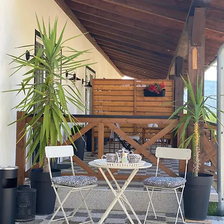 Magnolia By Radovanovic