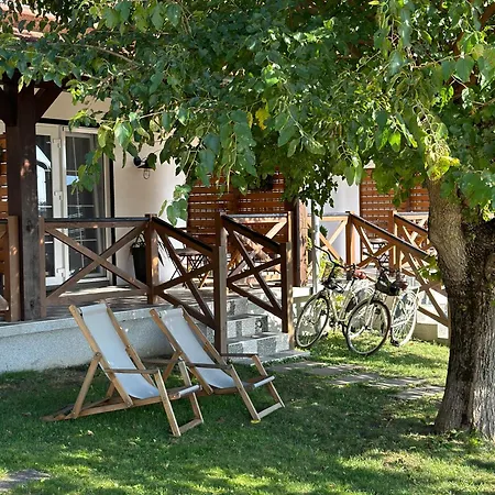 Magnolia By Radovanovic * Zdrelo