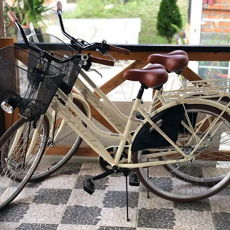 Magnolia By Radovanovic *