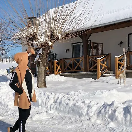 Magnolia By Radovanovic